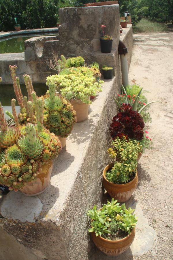 Masia Rural L'Hort De Maso Миравет Экстерьер фото